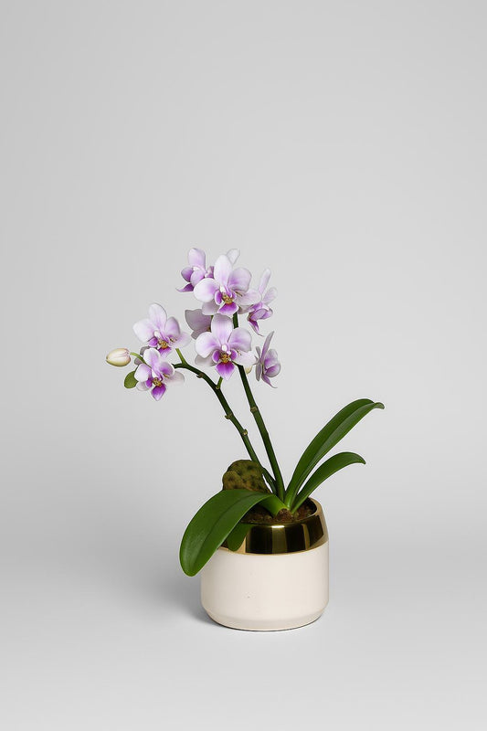 test1