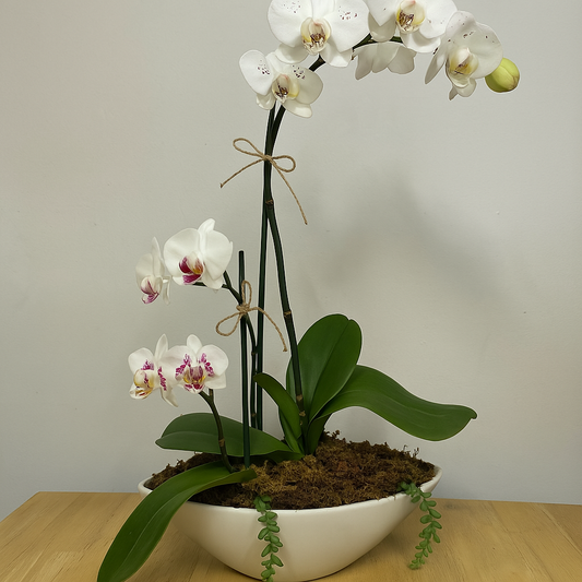 test2