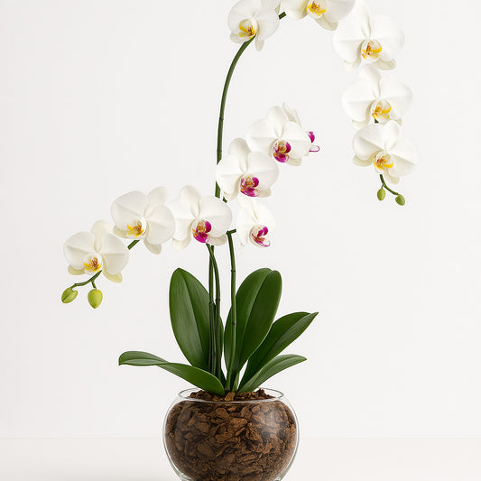 test6